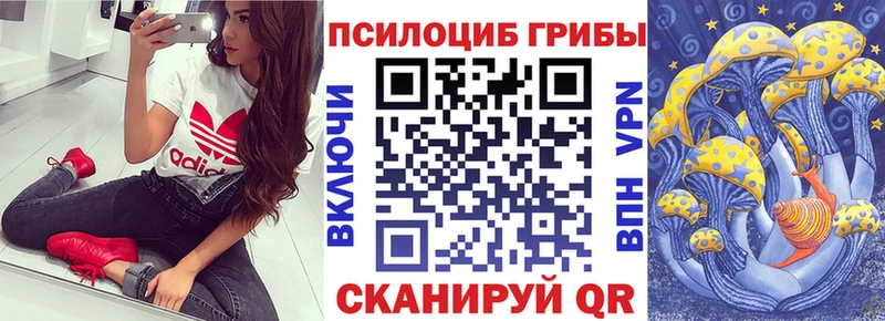 Галлюциногенные грибы GOLDEN TEACHER Нижневартовск